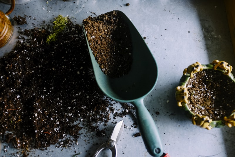 Autumn planting guide UK